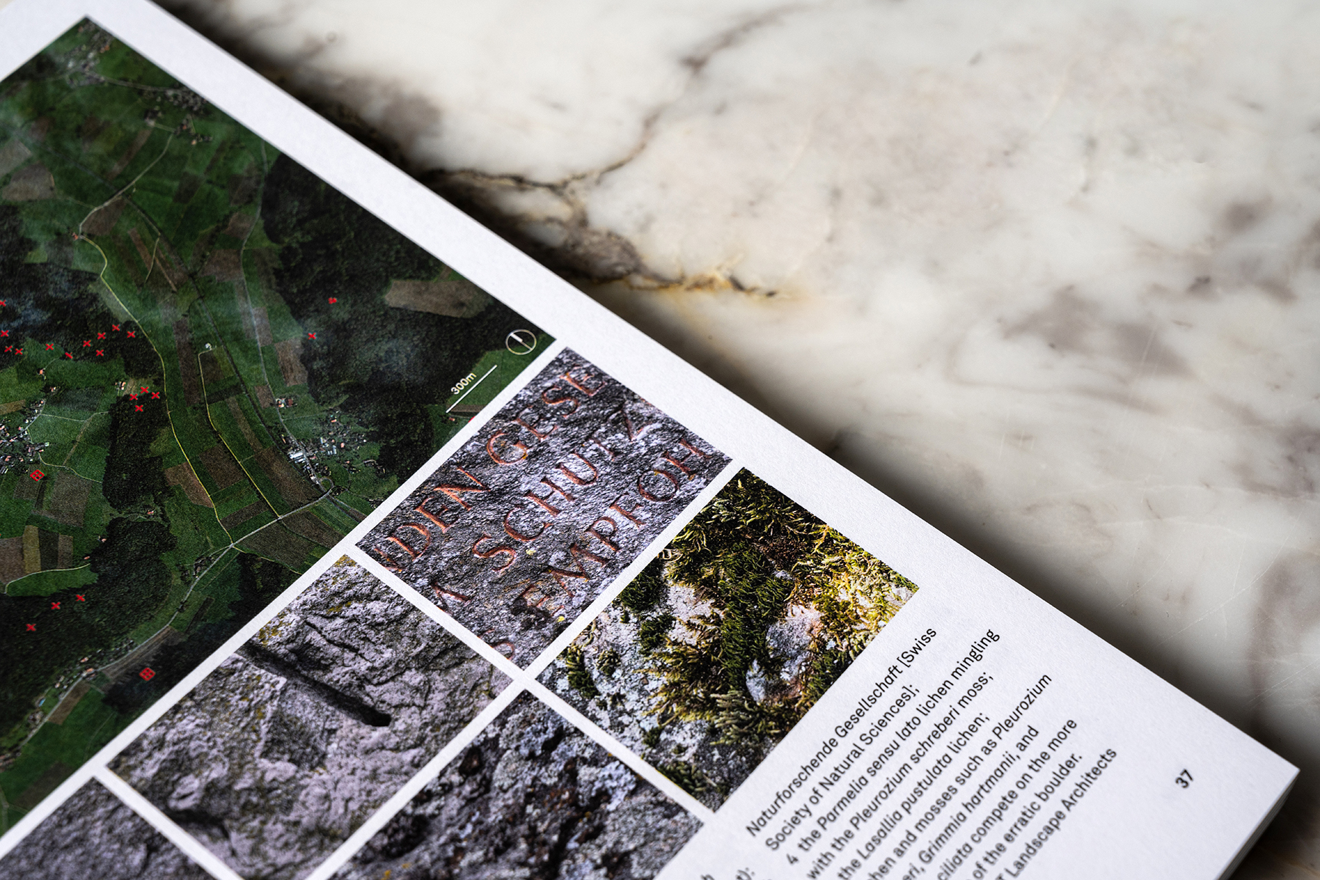 Solid, Fluid, Biotic