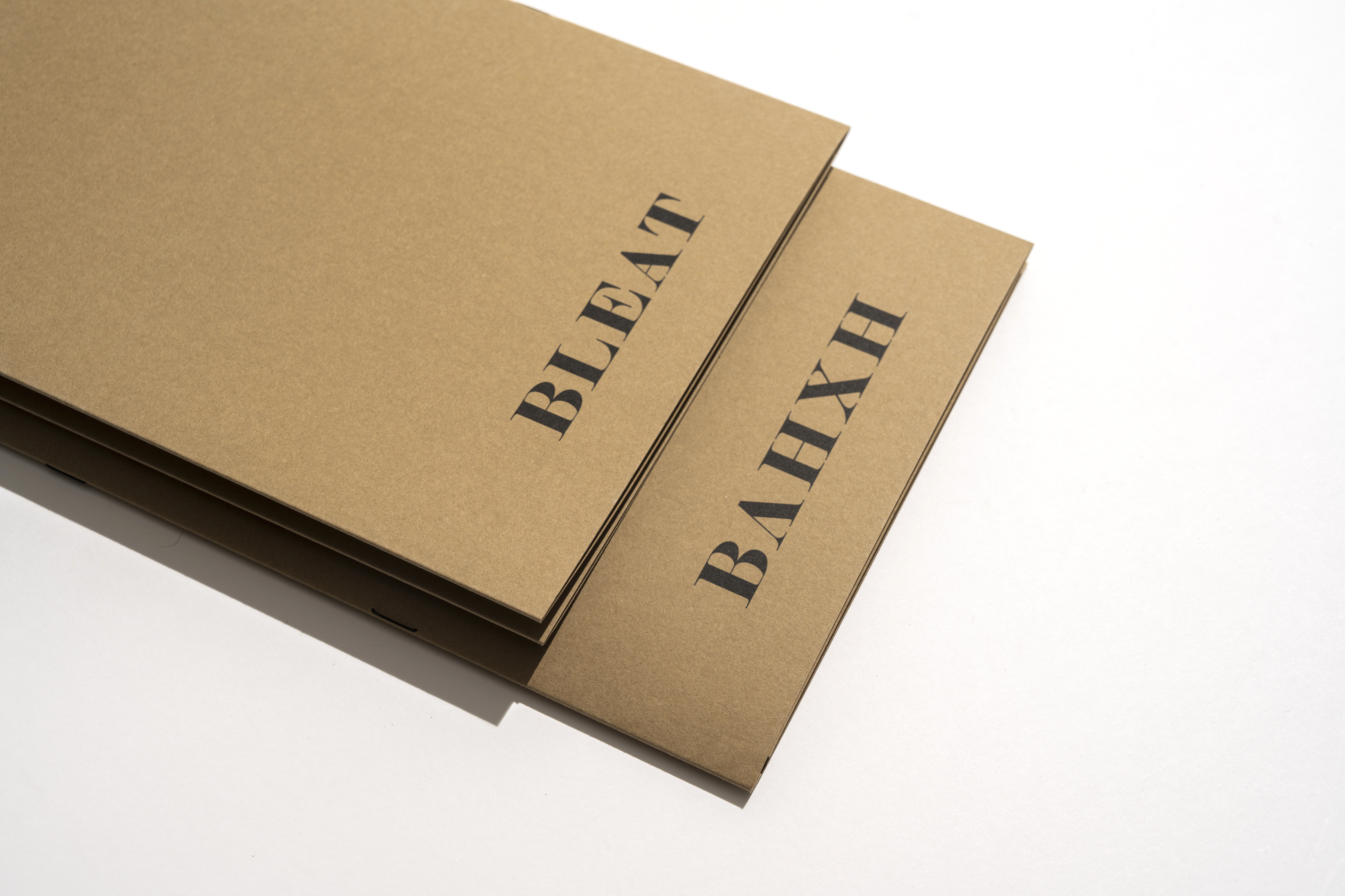 Βληχή - Γιώργος Λάνθιμος Έντυπο Πρόγραμμα Ταινίας